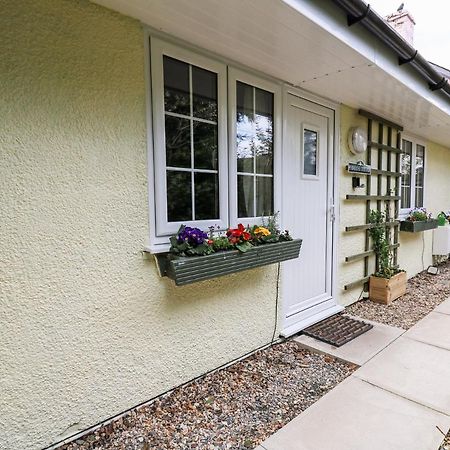 Primrose Cottage ลานดินดรอดเวลส์ ภายนอก รูปภาพ
