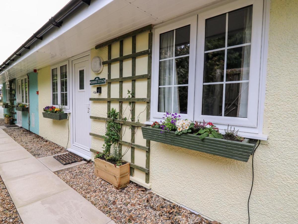 Primrose Cottage ลานดินดรอดเวลส์ ภายนอก รูปภาพ